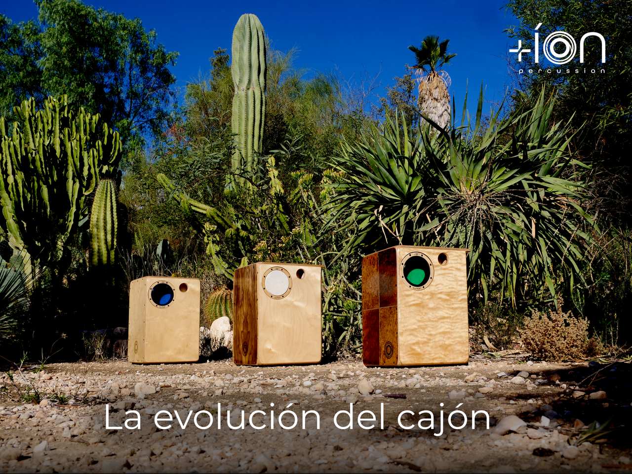 Origen e historia del cajón flamenco +íon